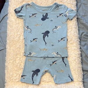 Kyte Baby Blue Shark Print Toddler Pajama Set 18-24M